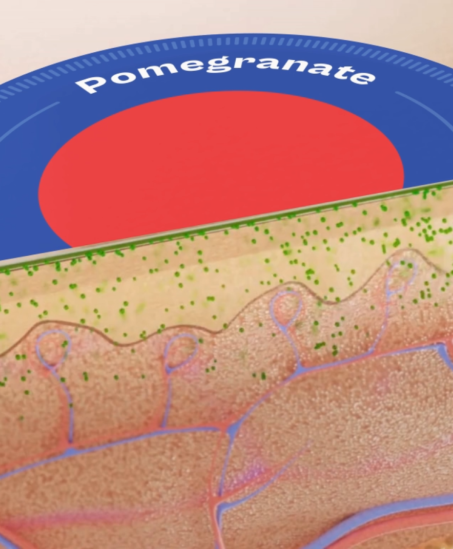 Patch applied on skin